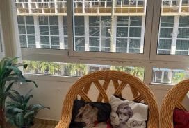 Apartamento minimalista con vista a la ciudad en el Vedado