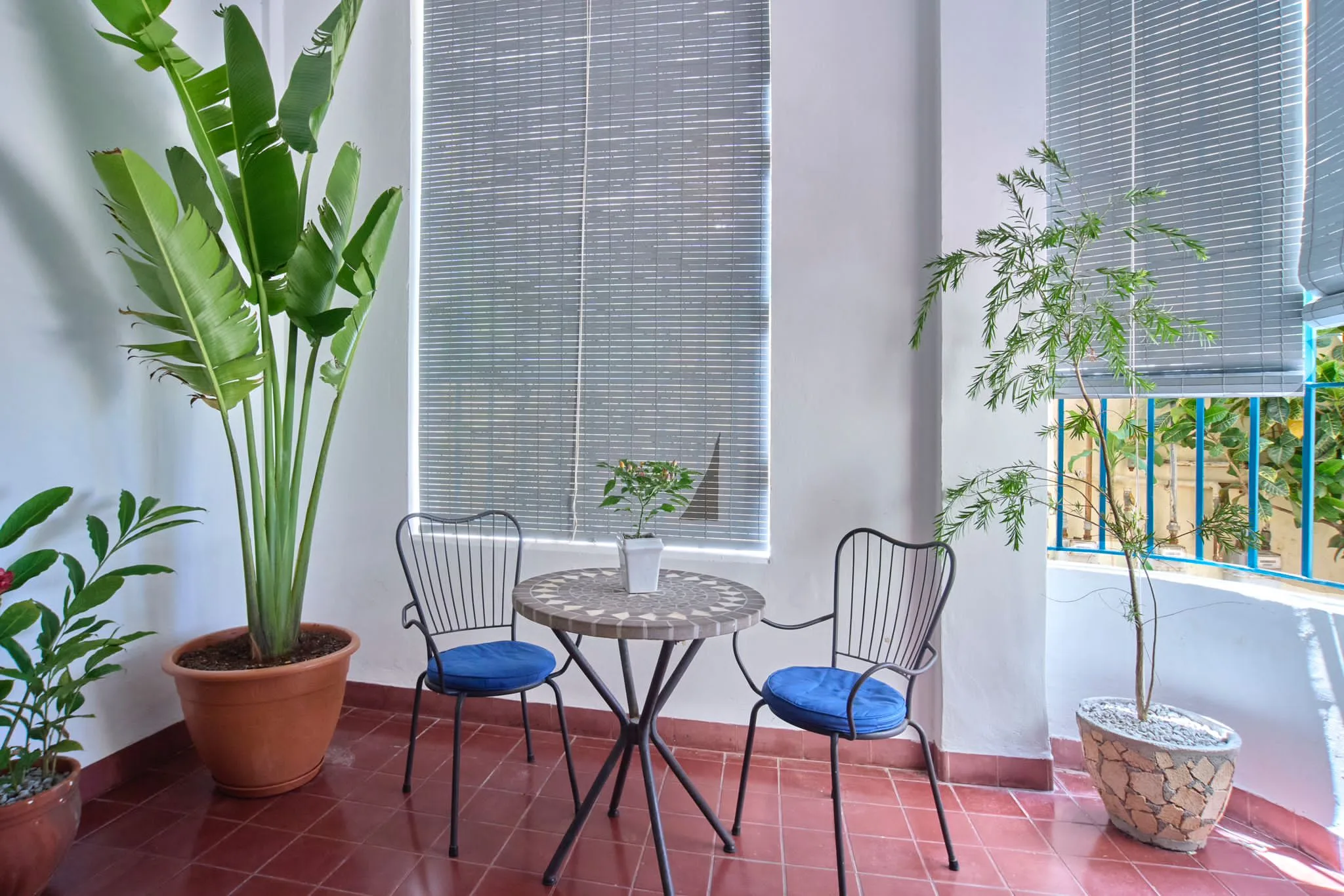 Casa Barbara con Terraza y Wifi en el Vedado