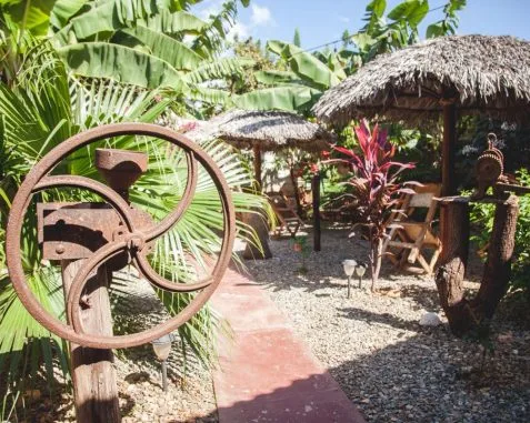 Jardín de Benjamín: Espacios Amplios