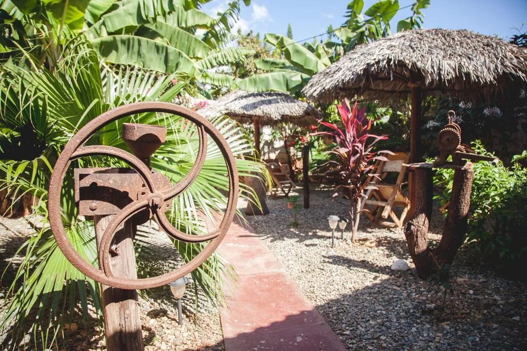 Jardín de Benjamín: Espacios Amplios