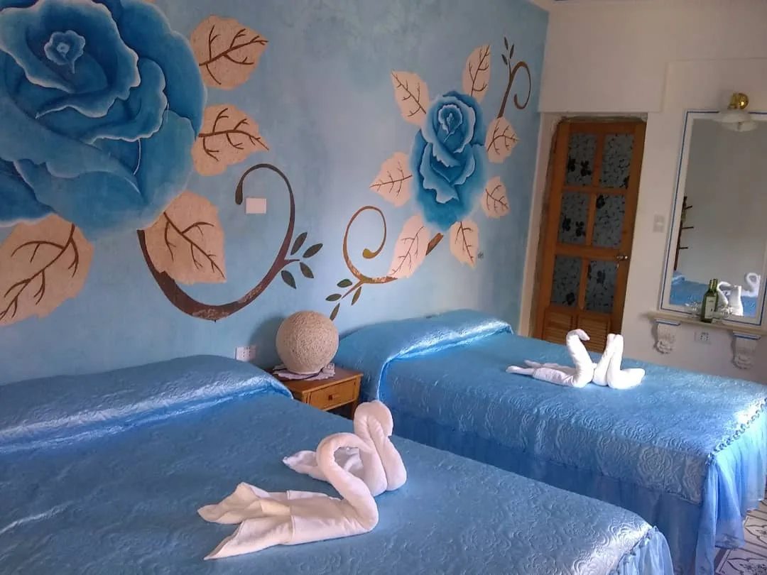 Hostal Divas: experiencia familiar en el centro de Trinidad